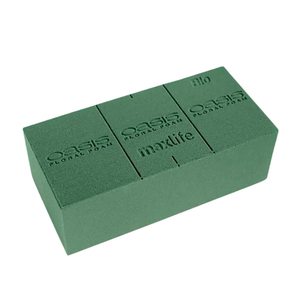 OASIS® Biodegradable Floral Foam 20's